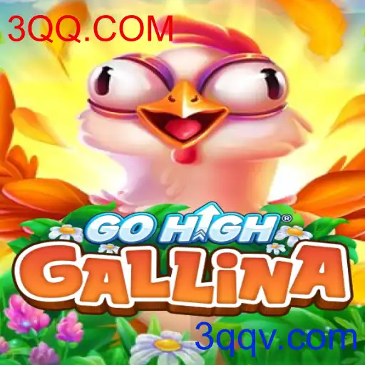 GoHighGallina